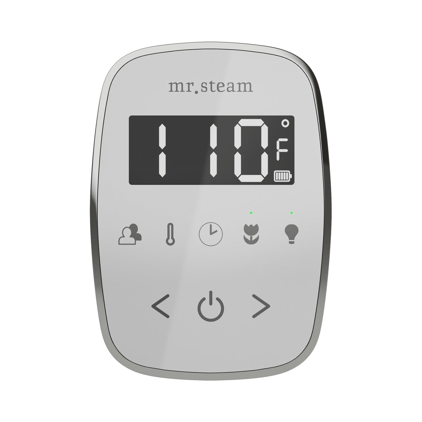 TempoFlex Steam Shower Control and Steamhead