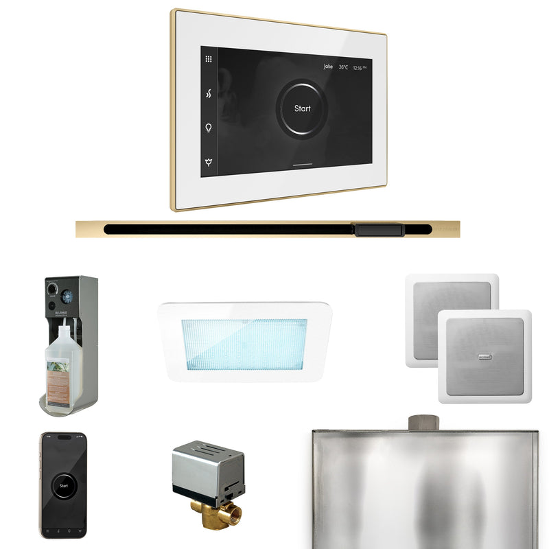 XDream Steam Shower Control Package with iSteamX Control and Linear Steamhead
