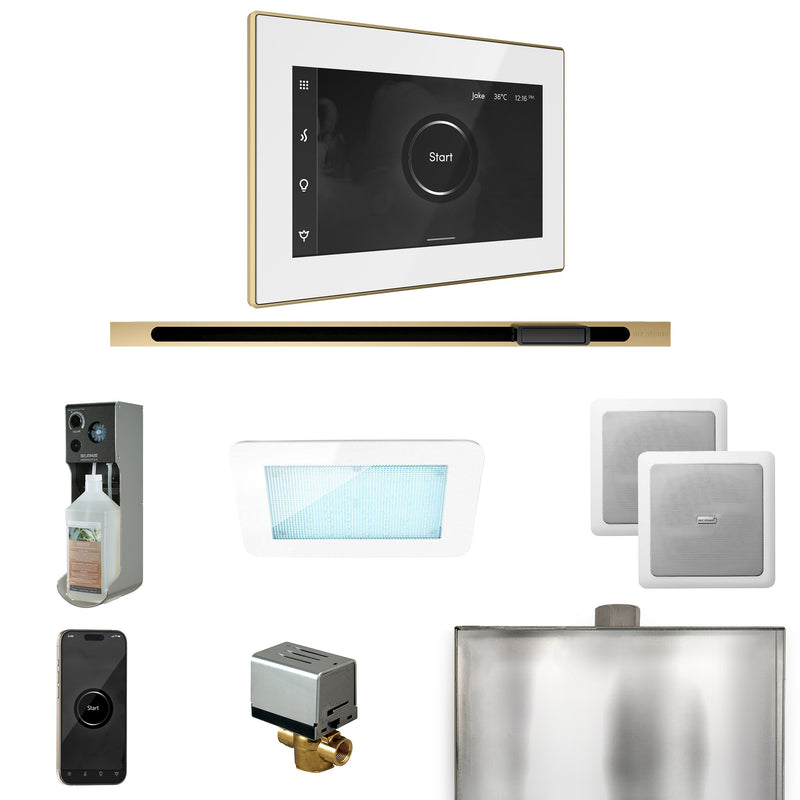 XDream Steam Shower Control Package with iSteamX Control and Linear Steamhead