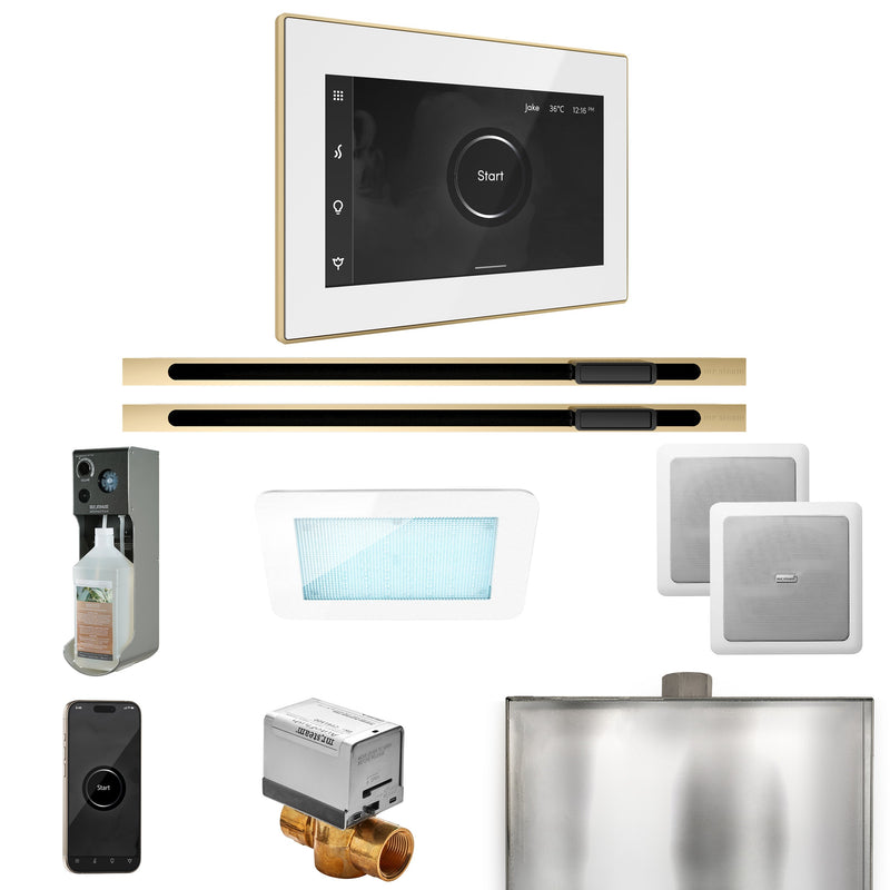 XDream Max Steam Shower Control Package with iSteamX Control and Linear Steamhead