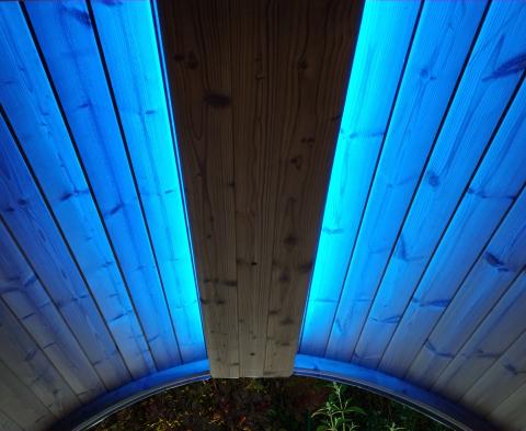 SaunaLife Emood Color Lighting for ERGO Sauna - The Sauna Solution