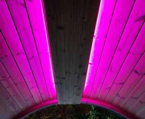 SaunaLife Emood Color Lighting for ERGO Sauna - The Sauna Solution