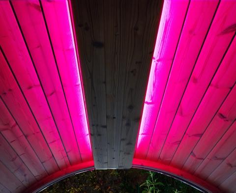 SaunaLife Emood Color Lighting for ERGO Sauna - The Sauna Solution