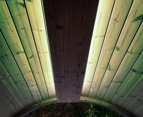 SaunaLife Emood Color Lighting for ERGO Sauna - The Sauna Solution