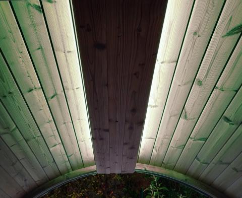 SaunaLife Emood Color Lighting for ERGO Sauna - The Sauna Solution