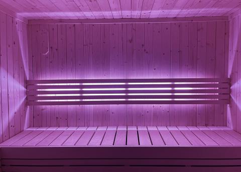 SaunaLife Mood Lighting for Model X6 Sauna - The Sauna Solution