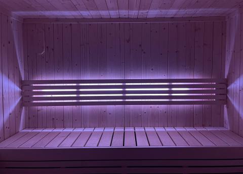 SaunaLife Mood Lighting for Model X7 Sauna - The Sauna Solution