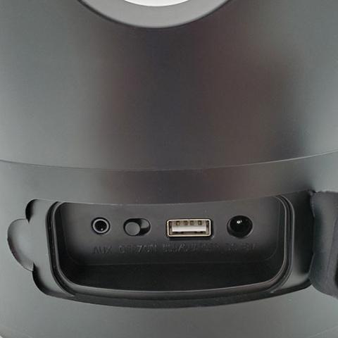 SaunaLife SaunaZone Bluetooth Speaker, Sauna Bucket, with Lights - The Sauna Solution